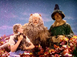 wizard of oz dorothy asbestos snow